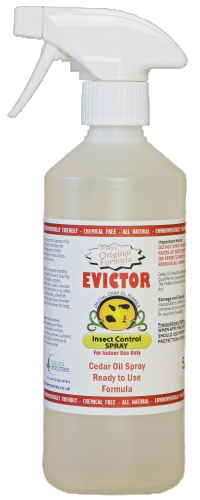 evictor_insect_control_spray_500ml