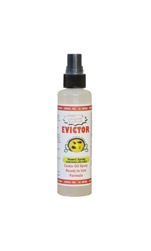 evictor-insecty-spray